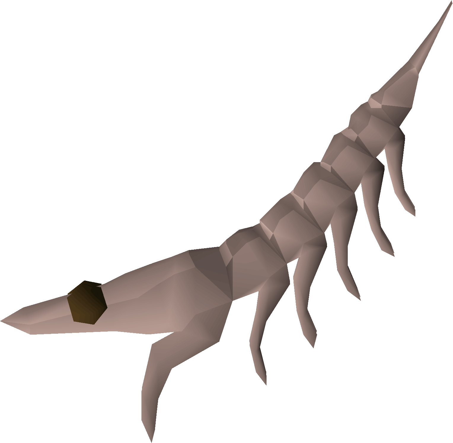 Raw giant krill