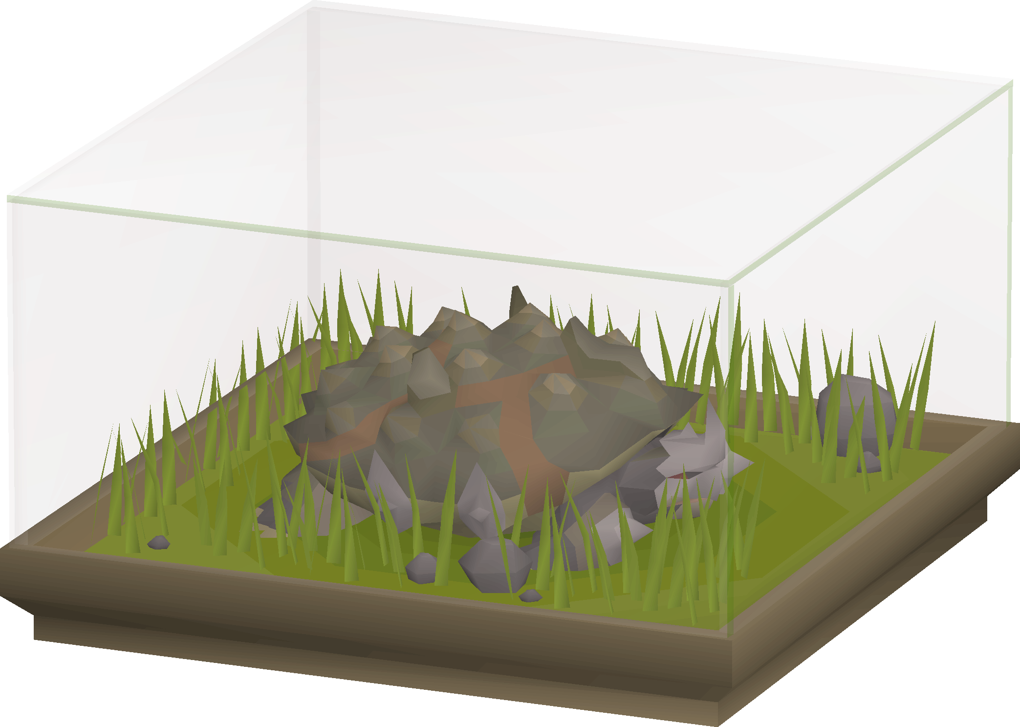Battle tortoise display