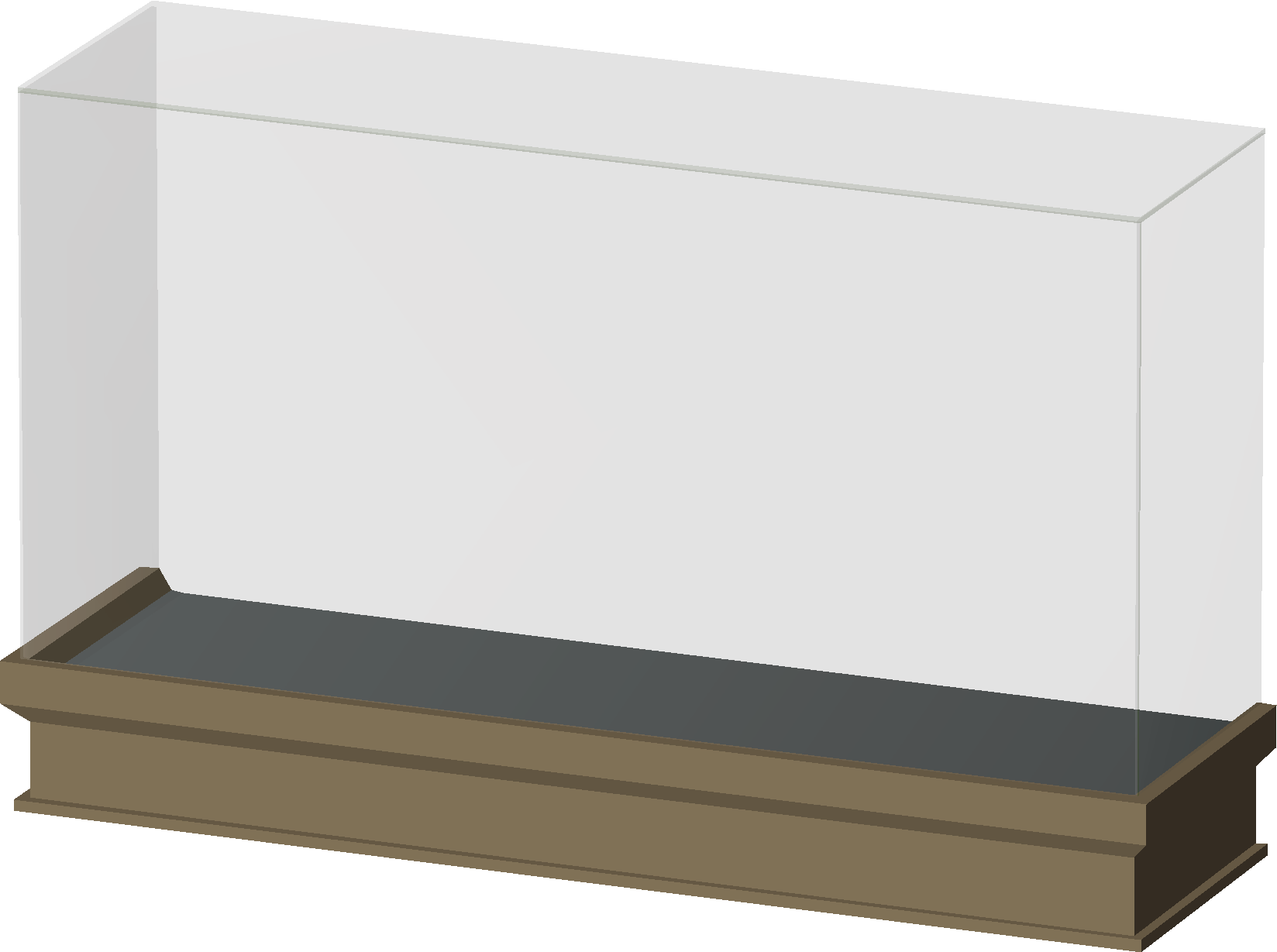 Medium Fossil Display (Dragonfly)