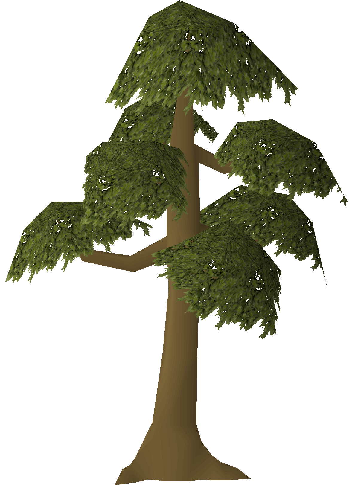 Yew tree (A Kingdom Divided)