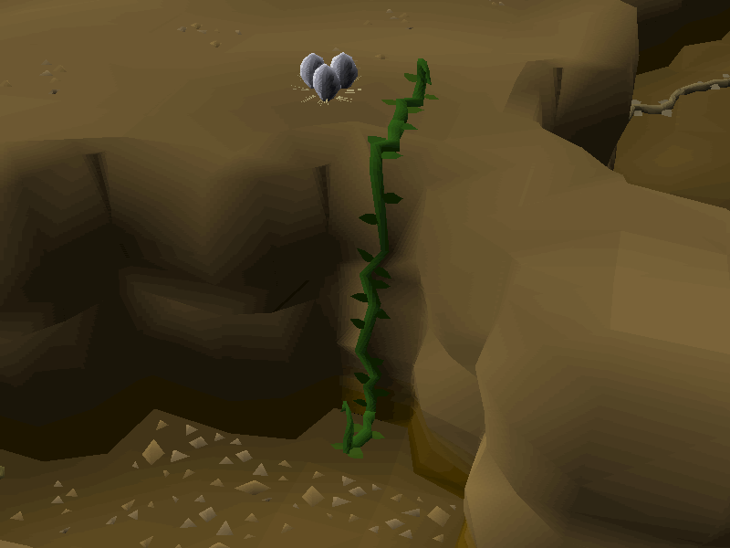 Vine (Brimhaven Dungeon)