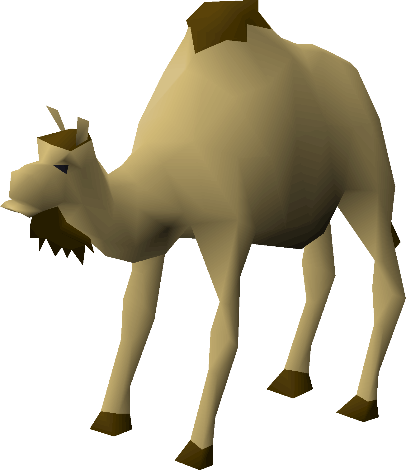 Cam the Camel