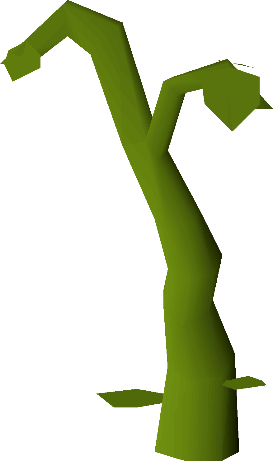 Growing vine