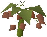 Wildblood Hops (plant)