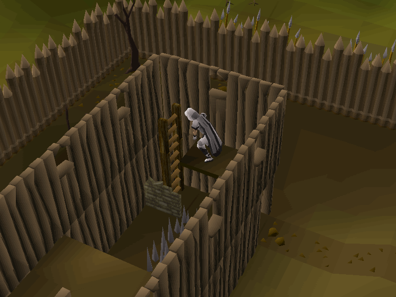 Ladder (Barbarian Outpost Agility Course)
