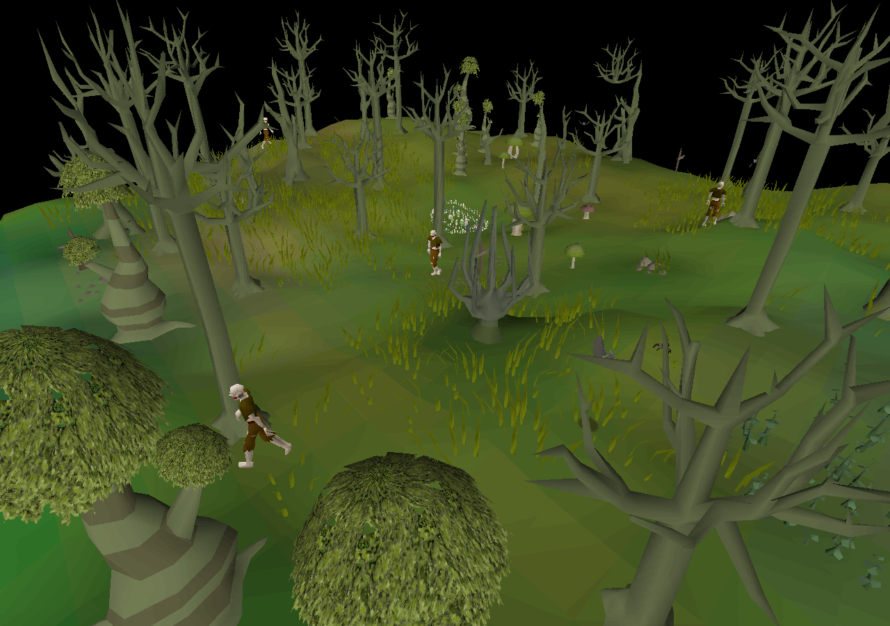 Haunted Woods