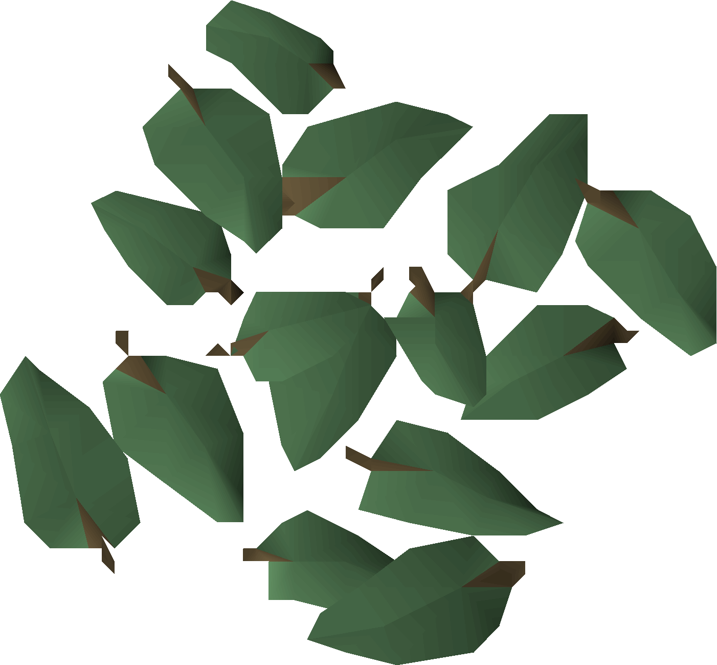 Damiana leaves