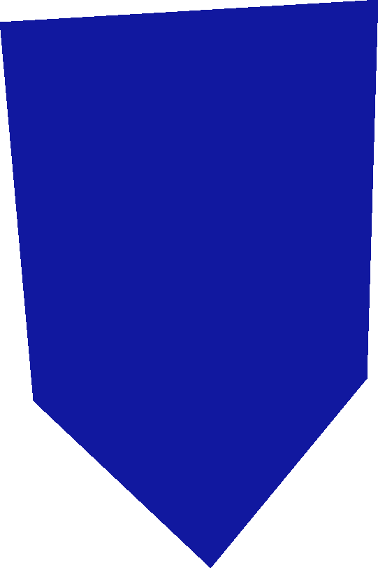 Defender icon