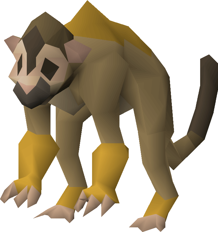 Squirrel monkey