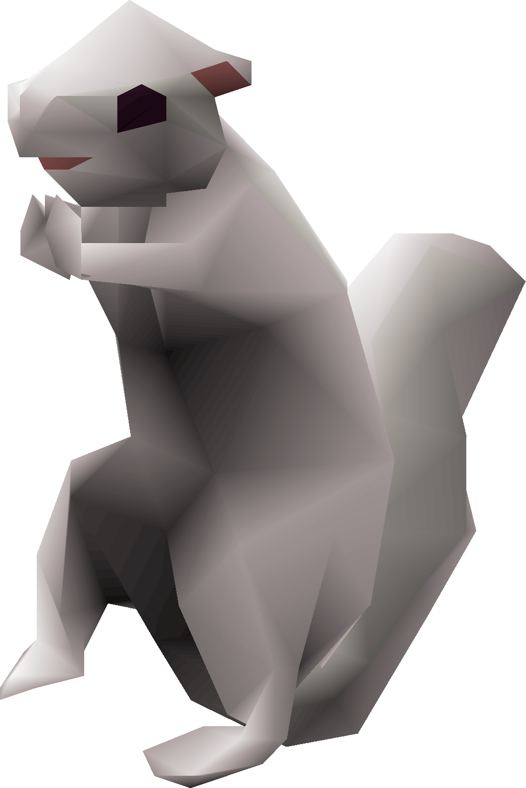 Squirrel (Weiss)