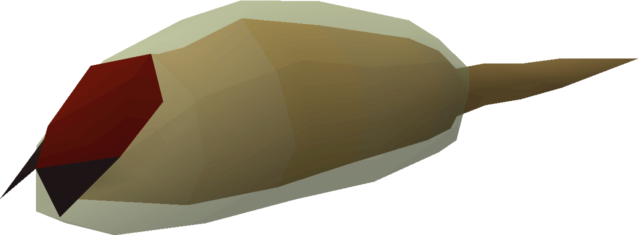 Ur-maggot larvae