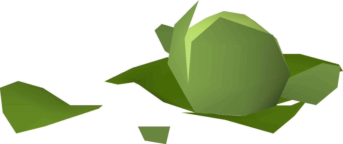 Cabbage evidence
