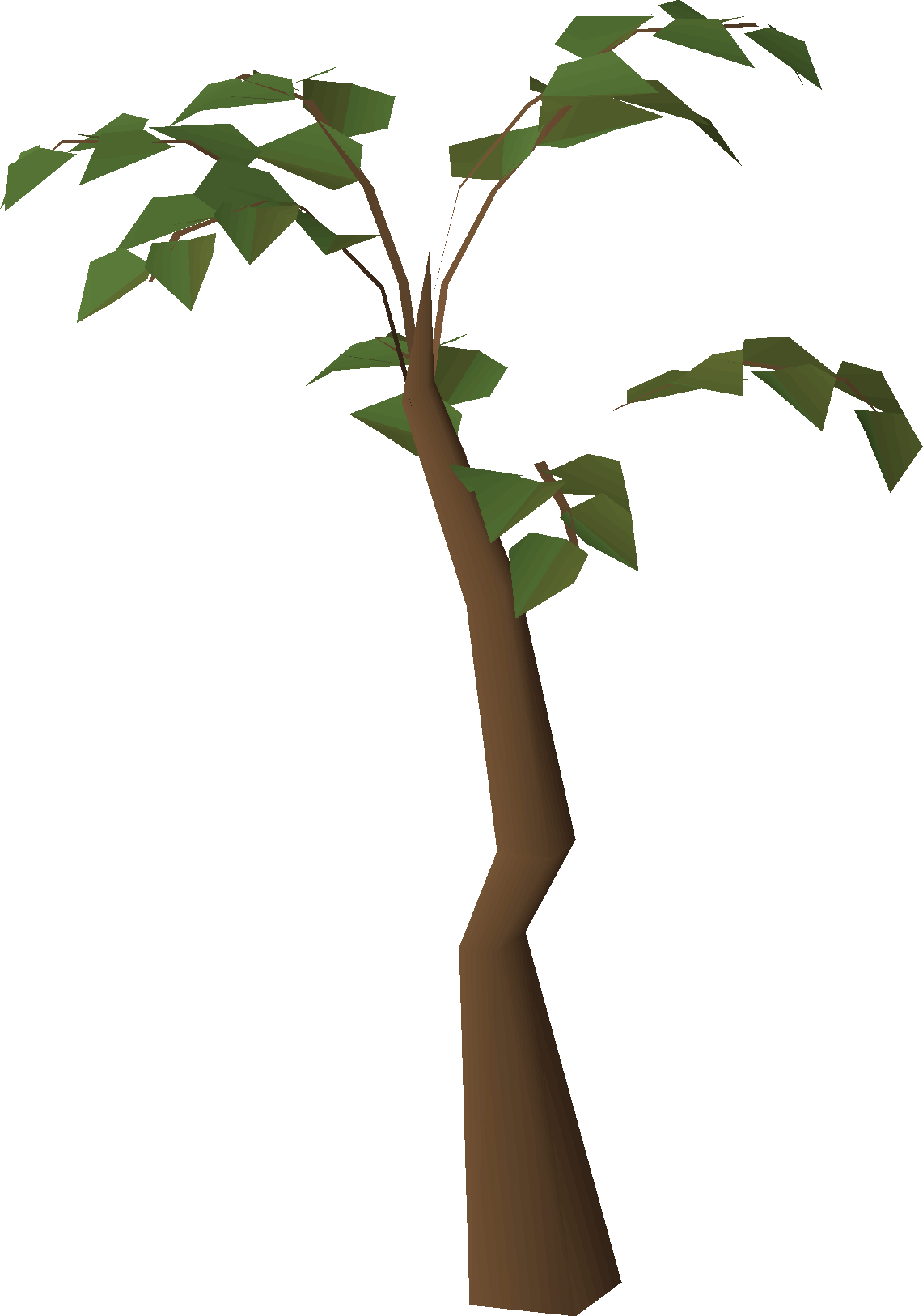 Jungle tree (dense Kharazi Jungle)