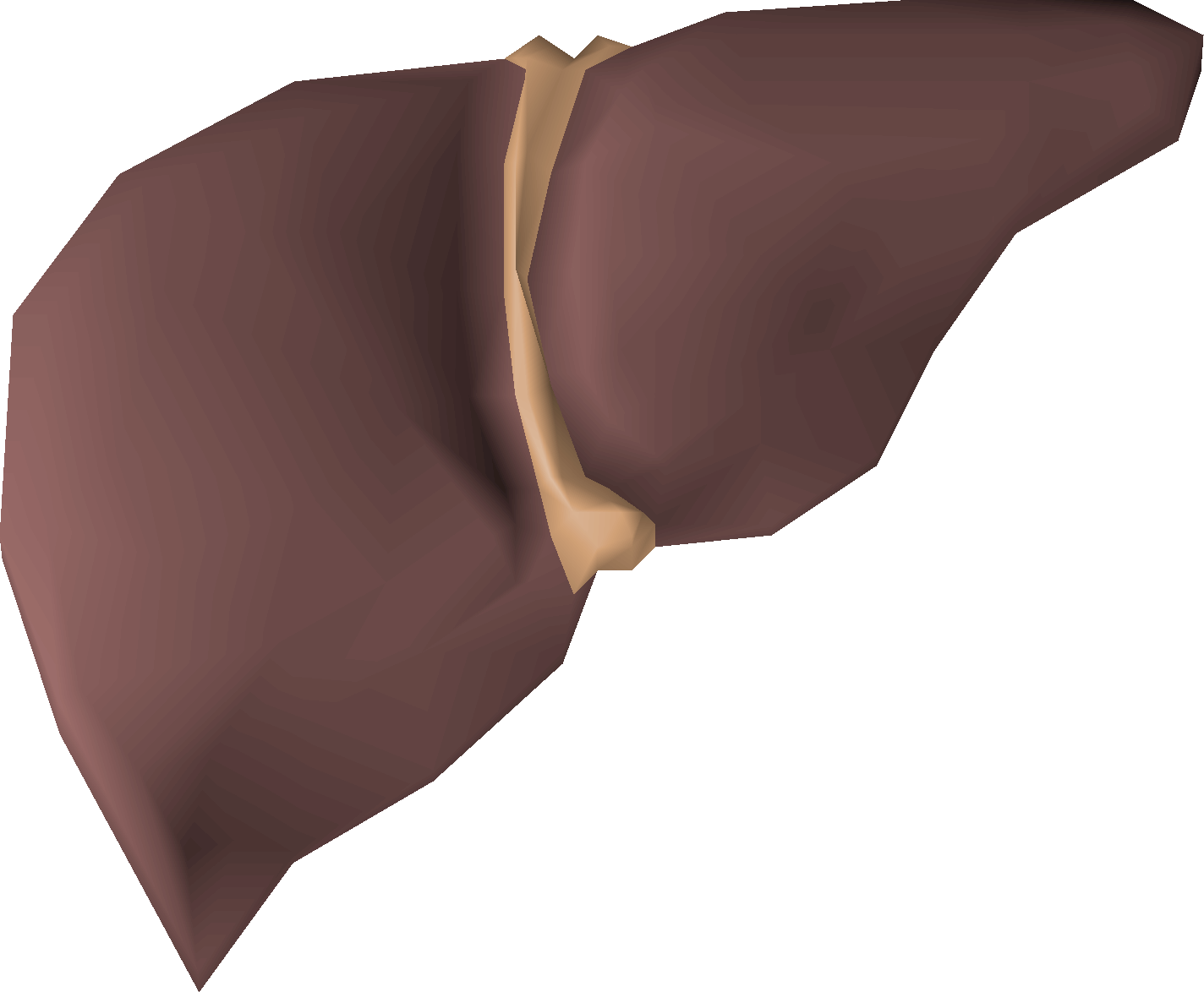 Tiger shark liver