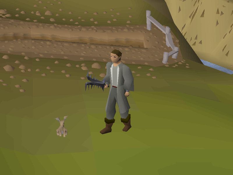 Wilderness Diary