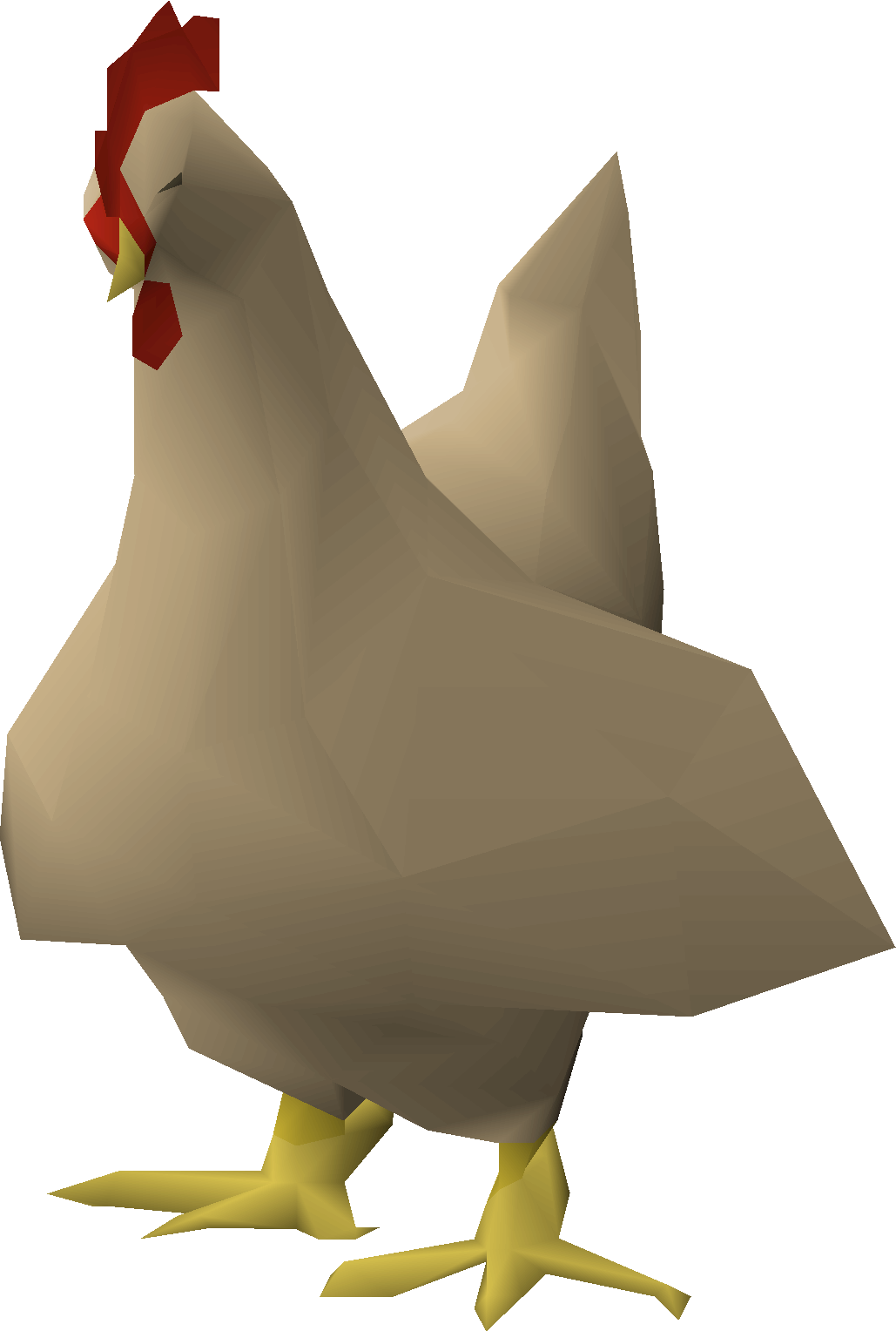 Large chicken