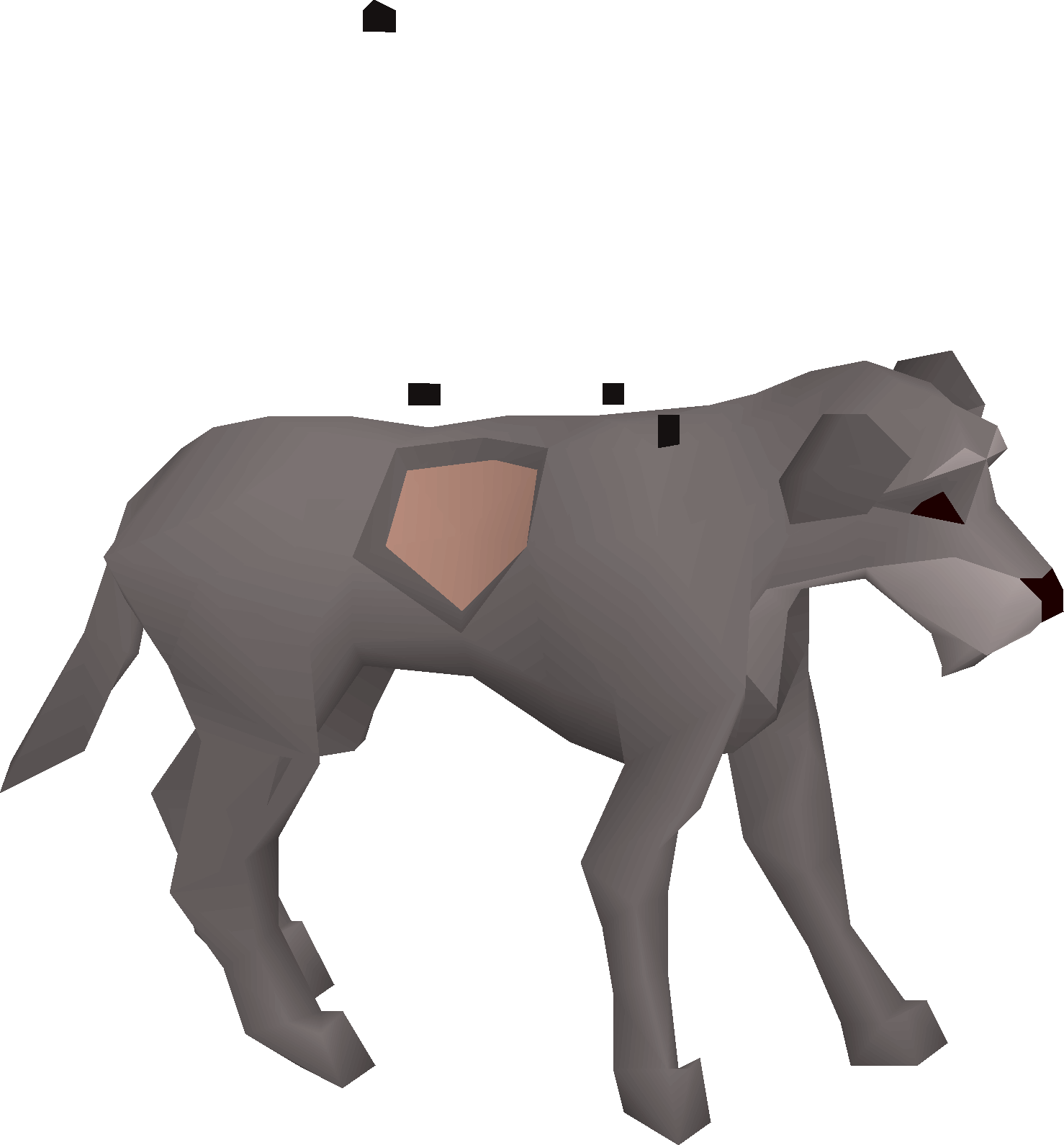 Stray dog
