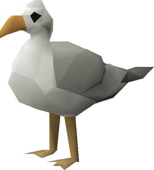 Seagull