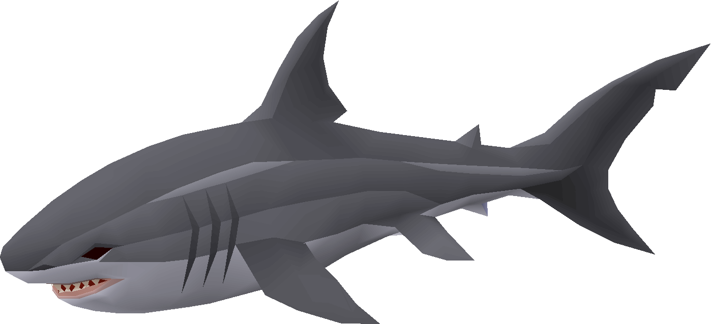 Great white shark