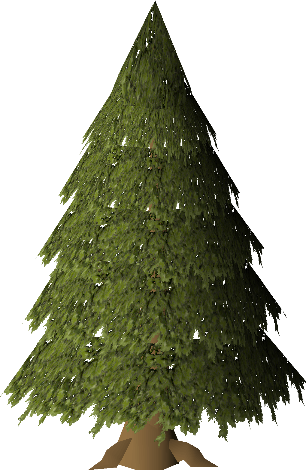 Evergreen (Big Cats & WWF)