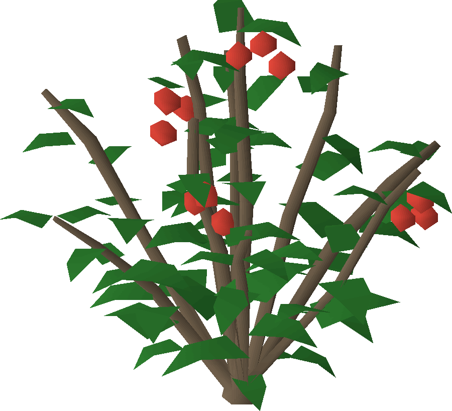 Redberry bush