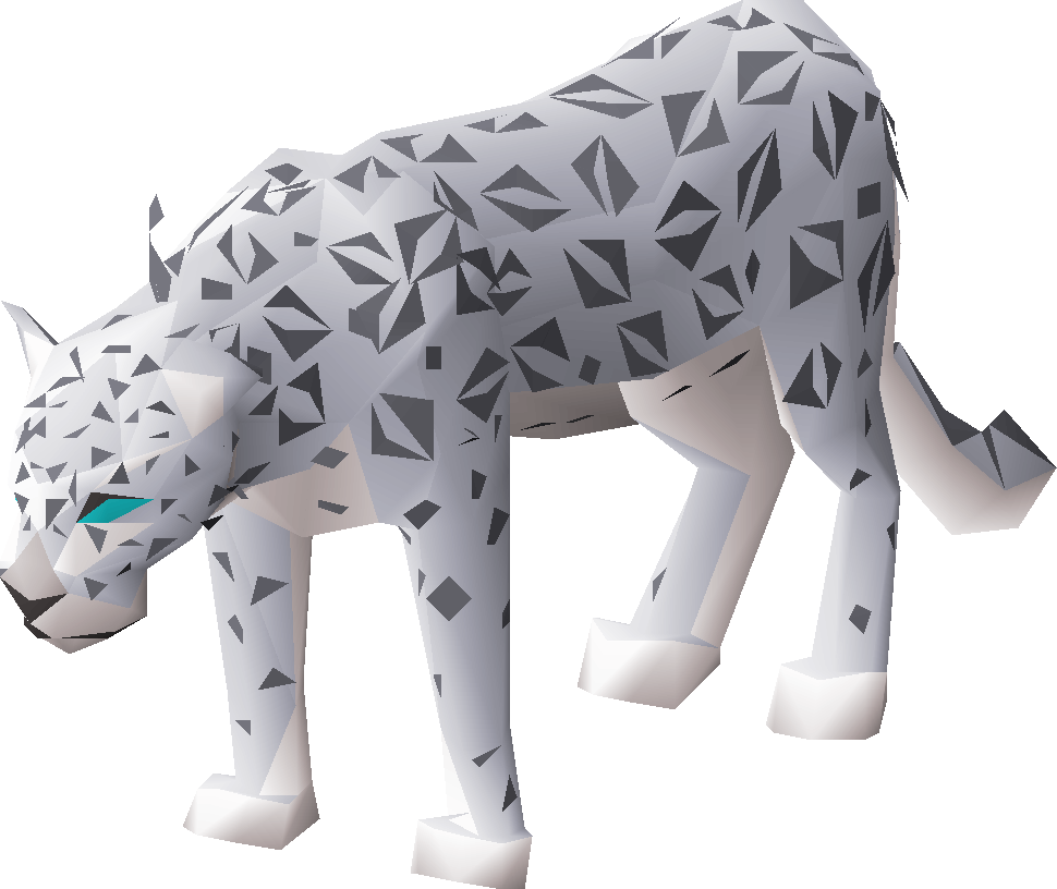 Male snow leopard
