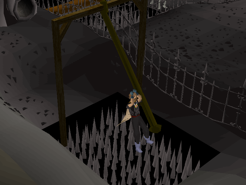 Ropeswing (Wilderness Agility Course)