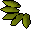 Willow seed.png: Long-tailed Wyvern drops Willow seed with rarity 1/1,537.5 in quantity 1