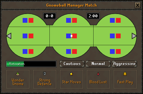 A mock-up of the Gnomeball Manager playing interface.