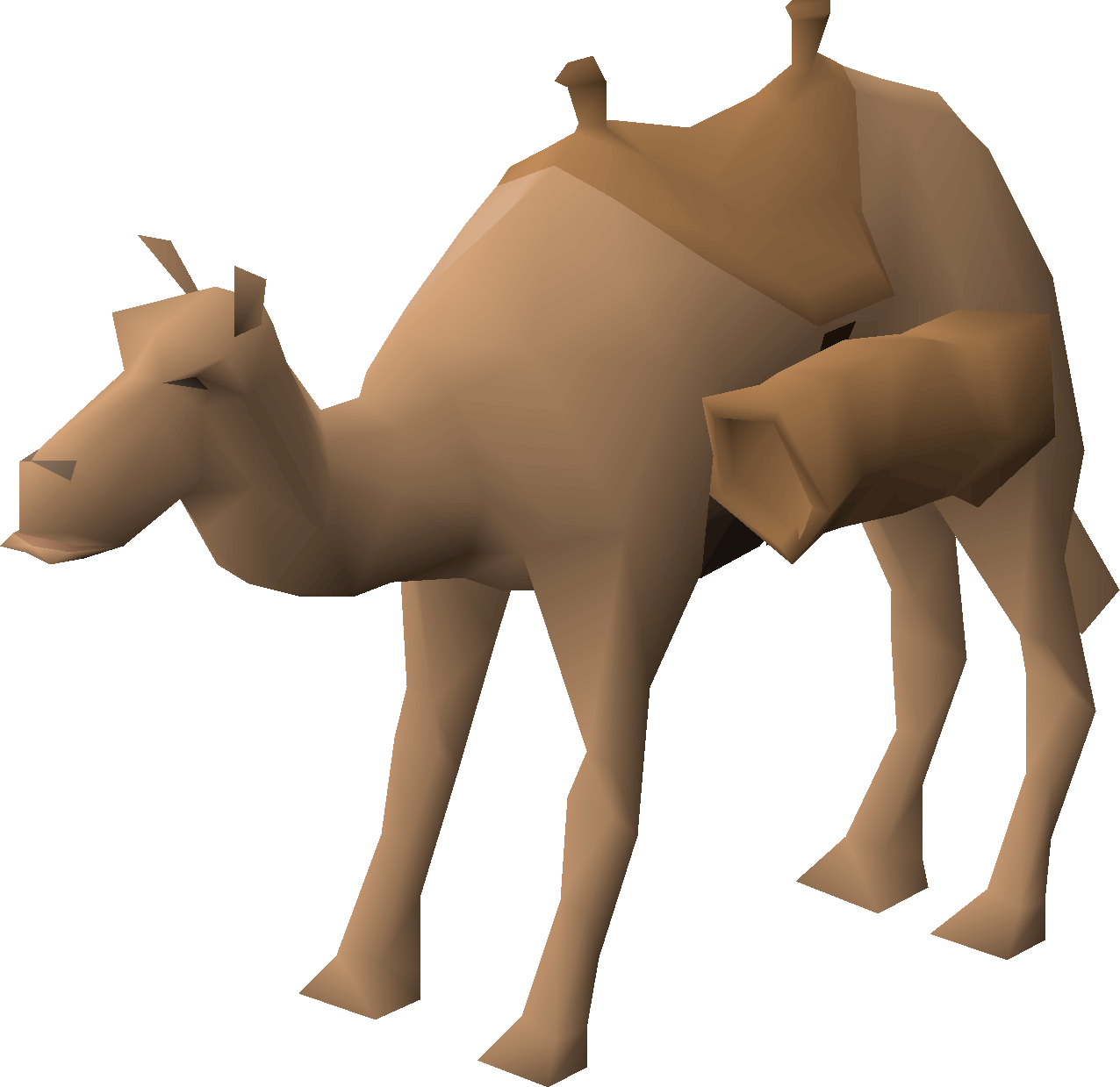 Neferti the Camel
