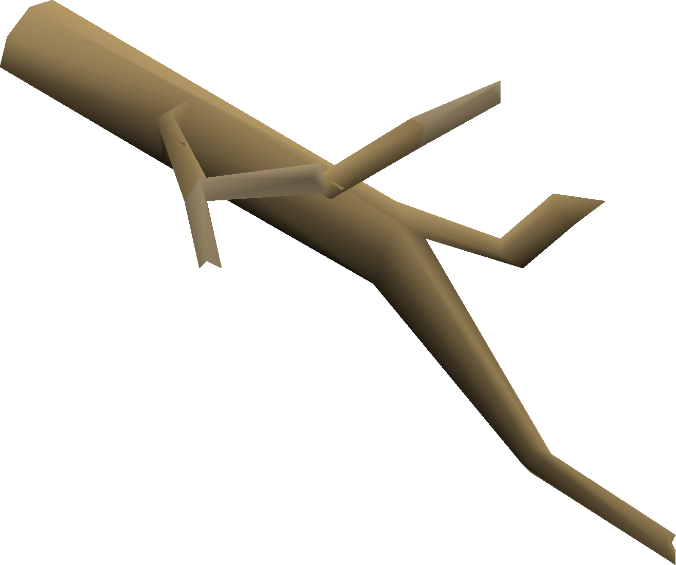 Fossilised branch