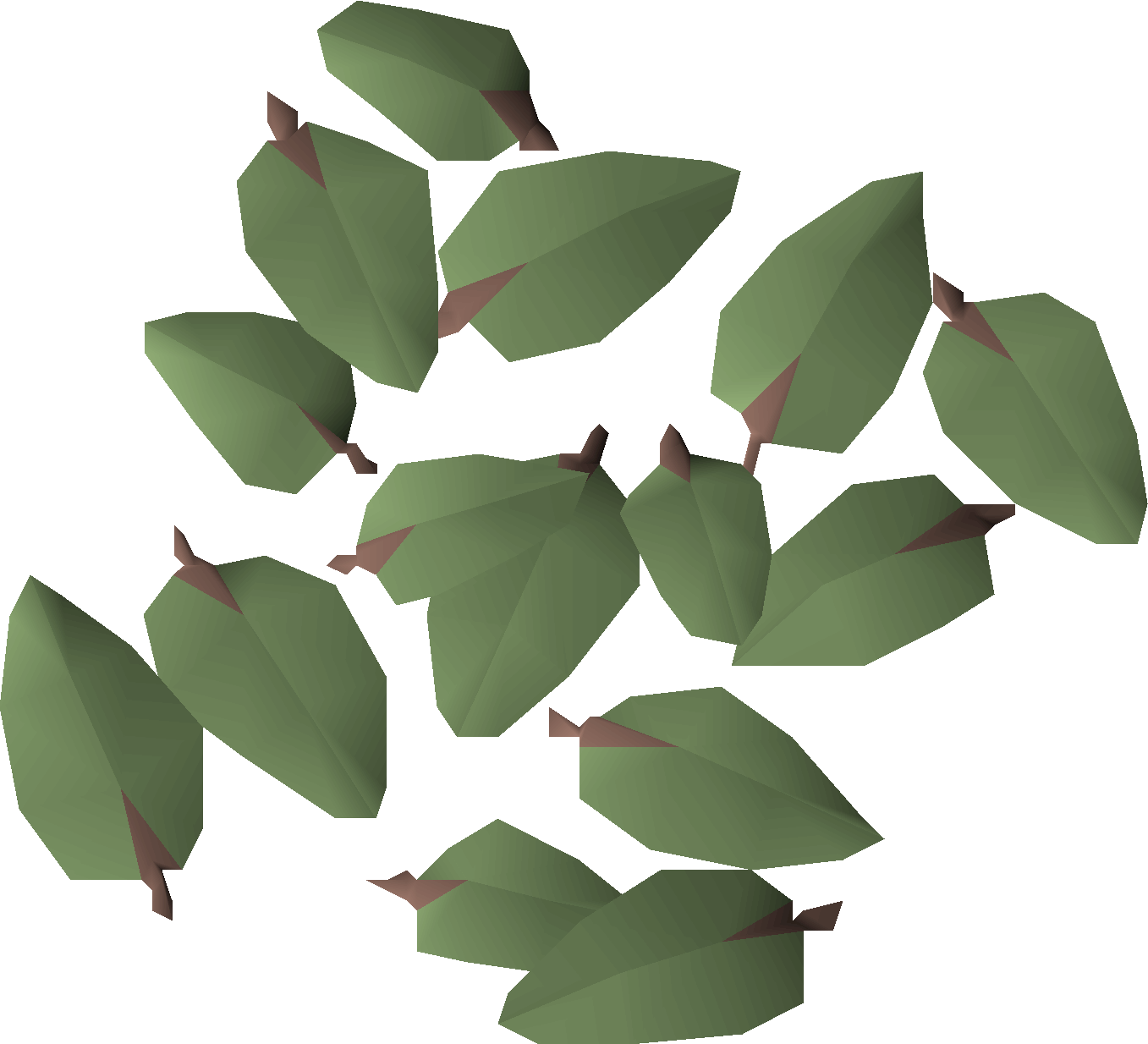 Willow leaves