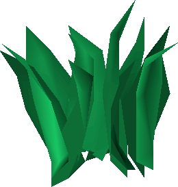 Tarromin (plant)