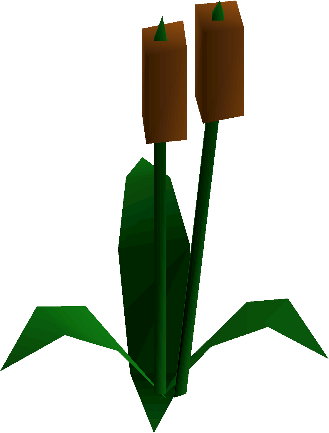 Tall Reeds