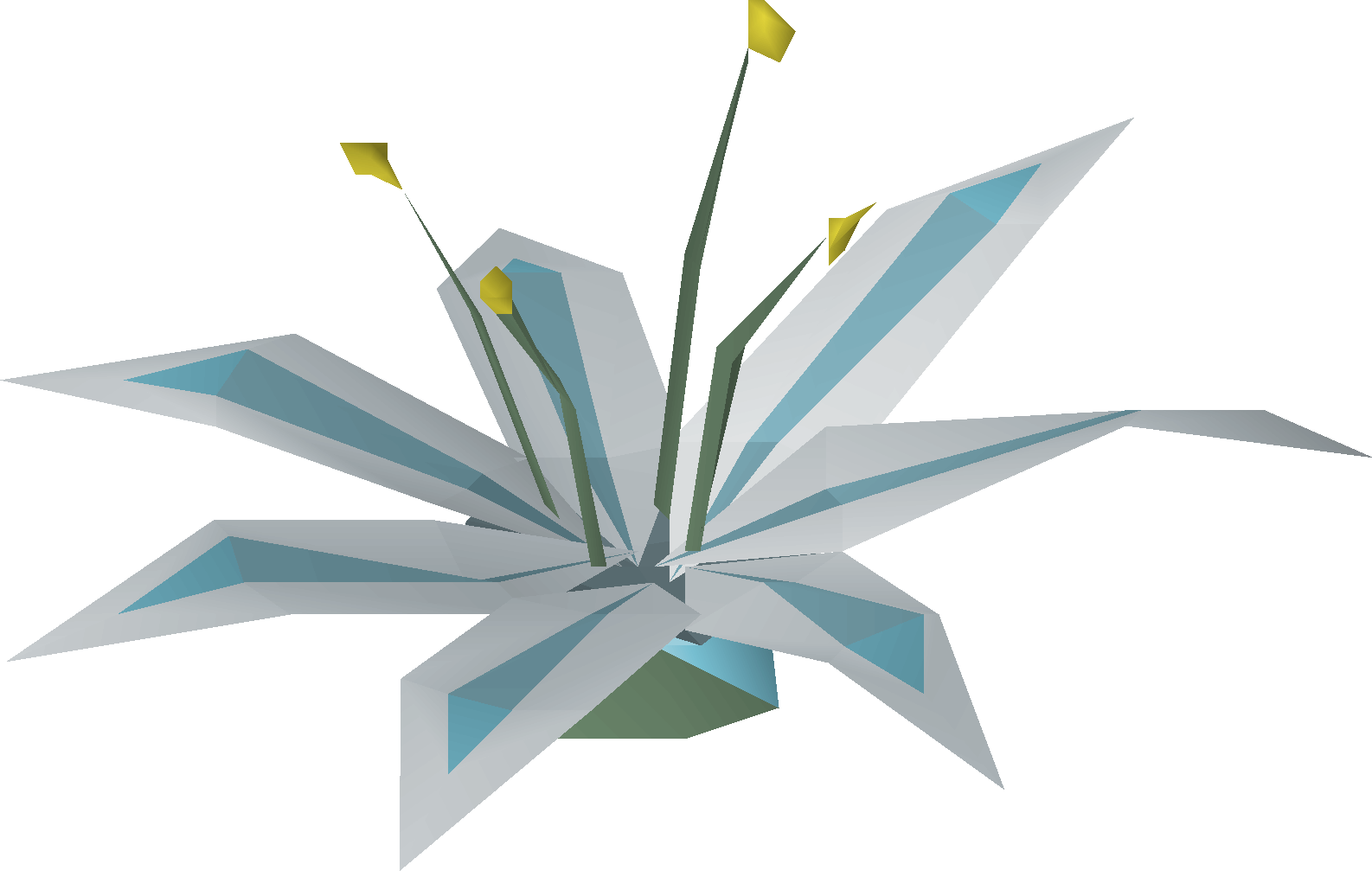 Lily of the elid