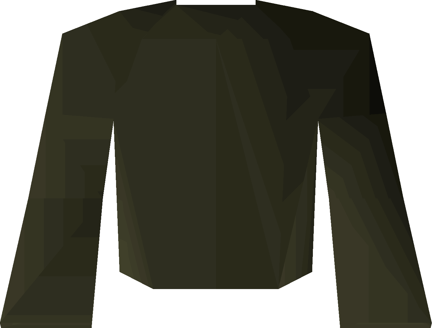 Black robe
