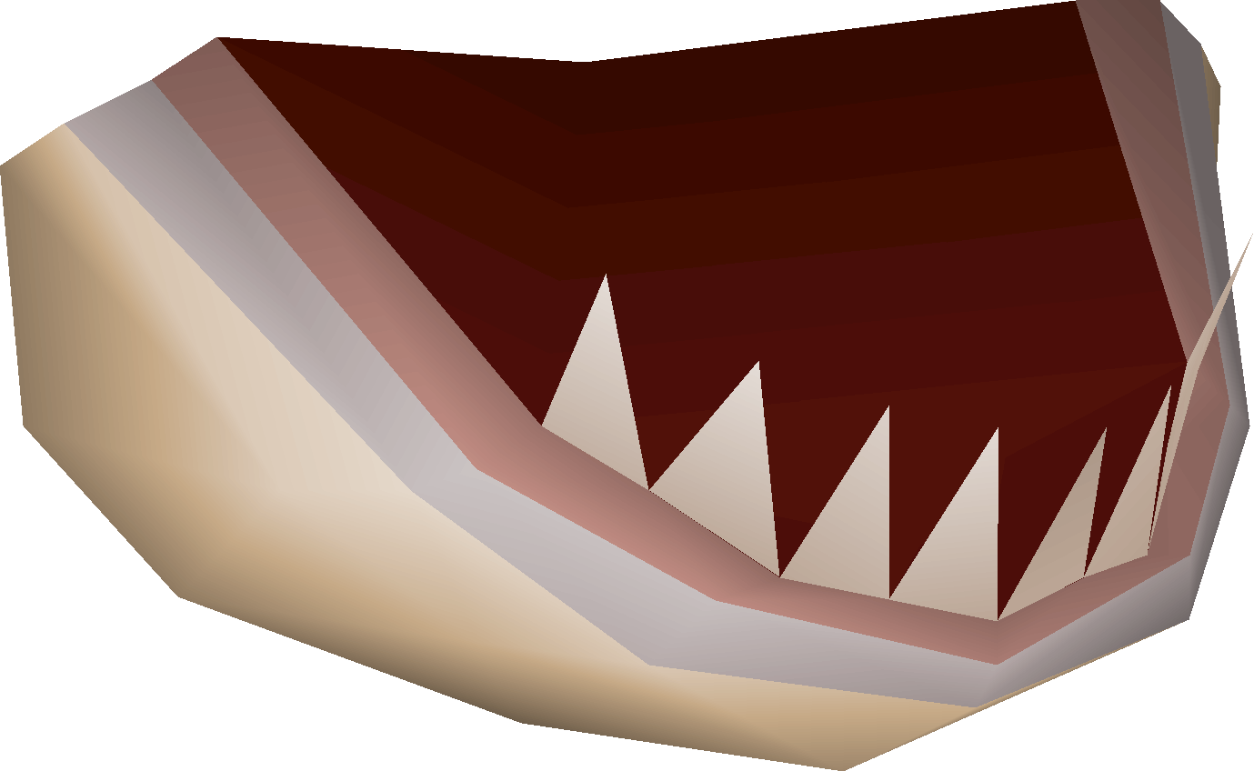 Bull shark jaw