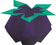Golpar (plant)