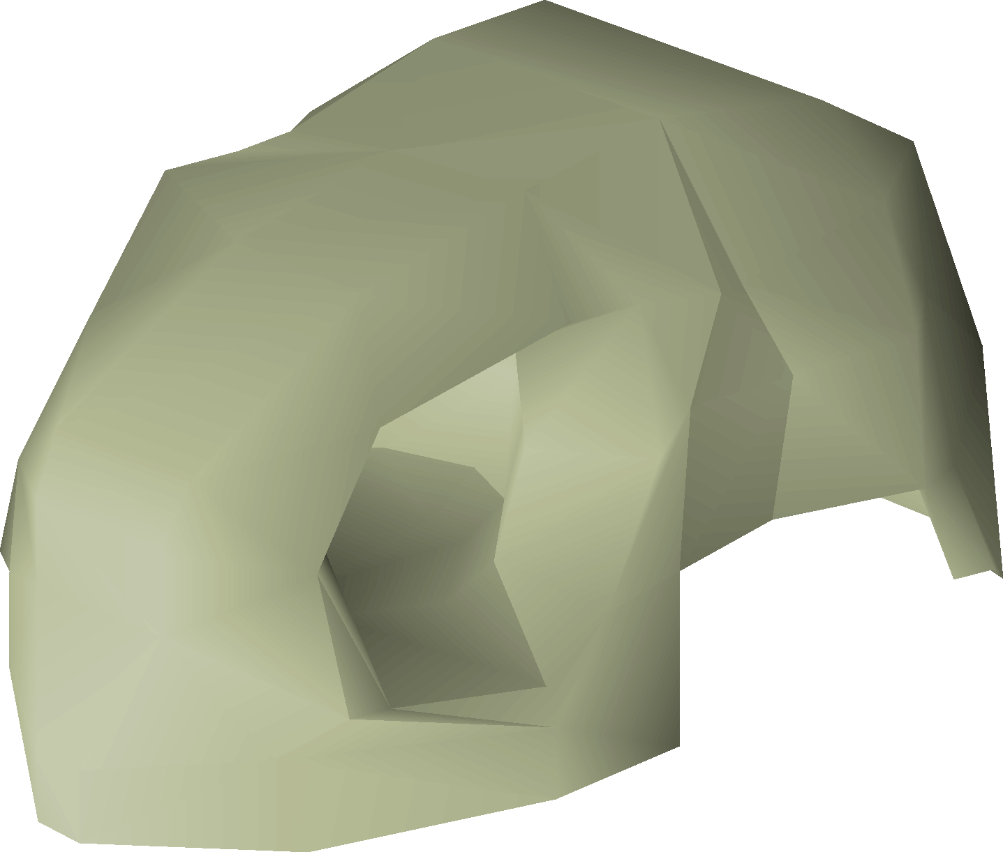 Large fossilised skull