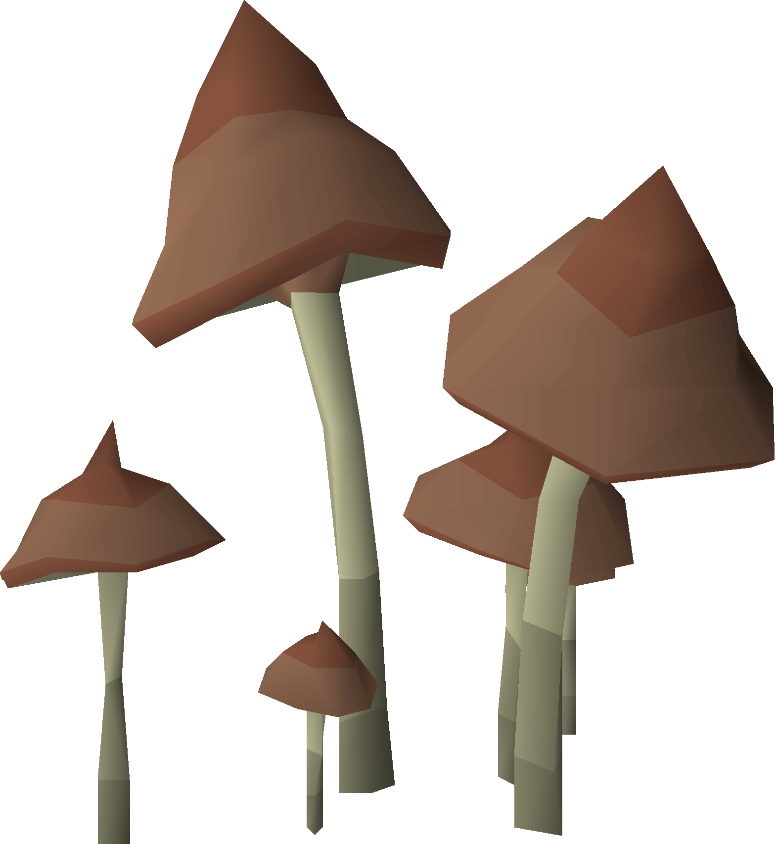 Forest Mushrooms