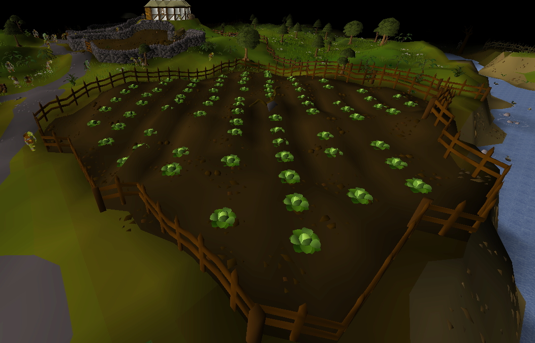 Lumbridge cabbage patch