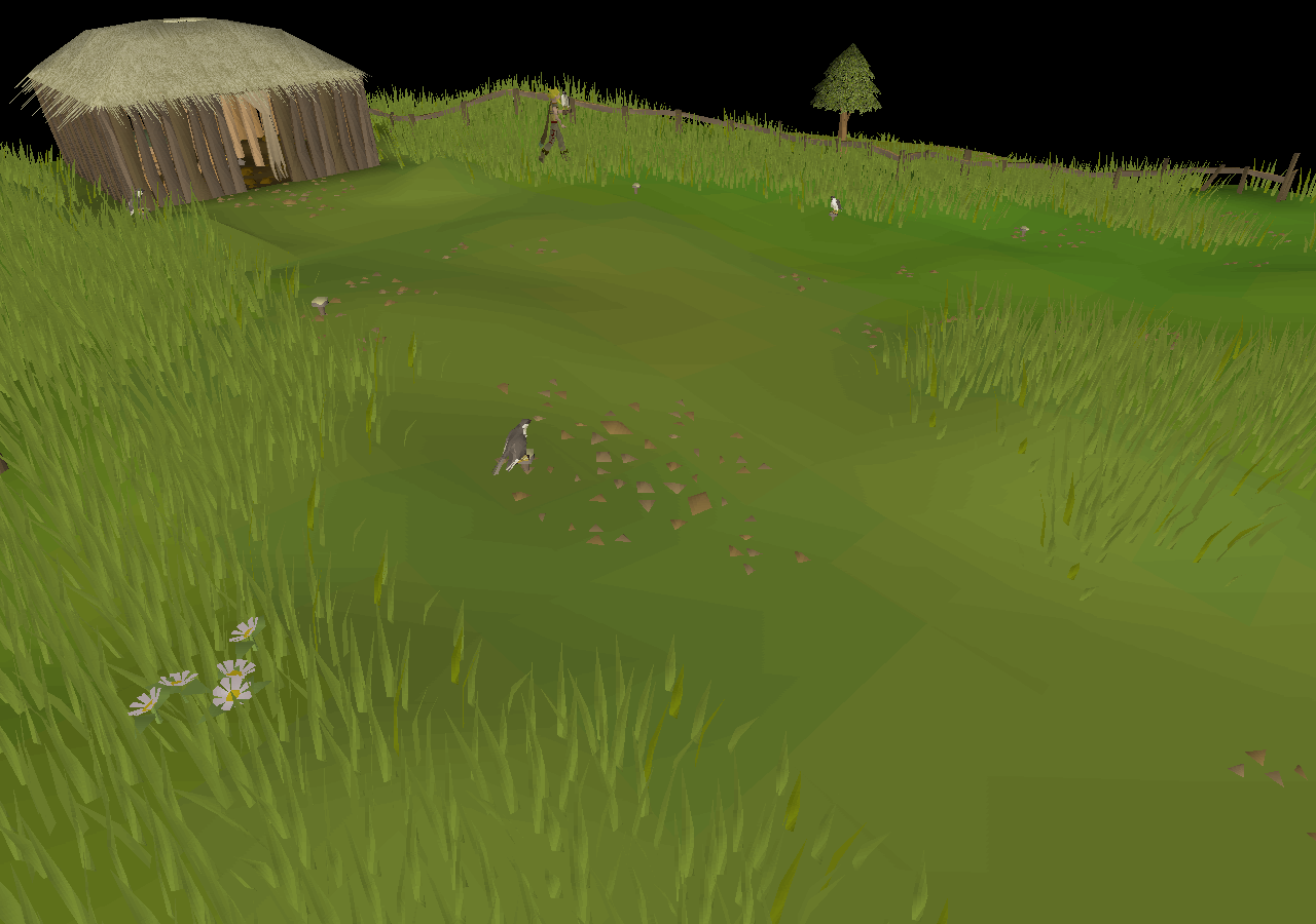 Piscatoris falconry area