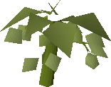 Hammerstone Hops (plant)