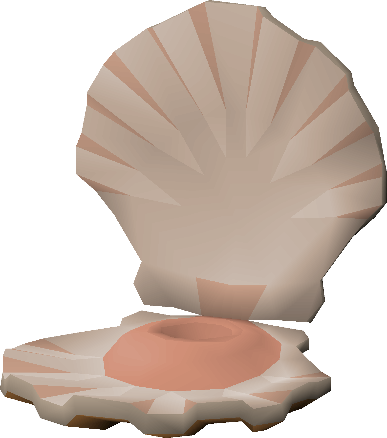 Giant clam