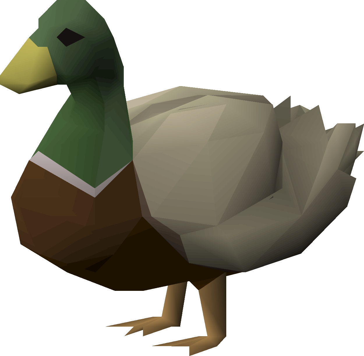 Drake (bird)