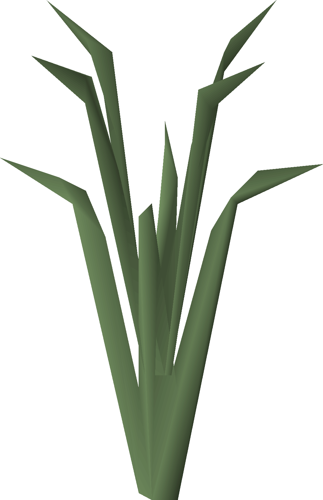 Onion (scenery)