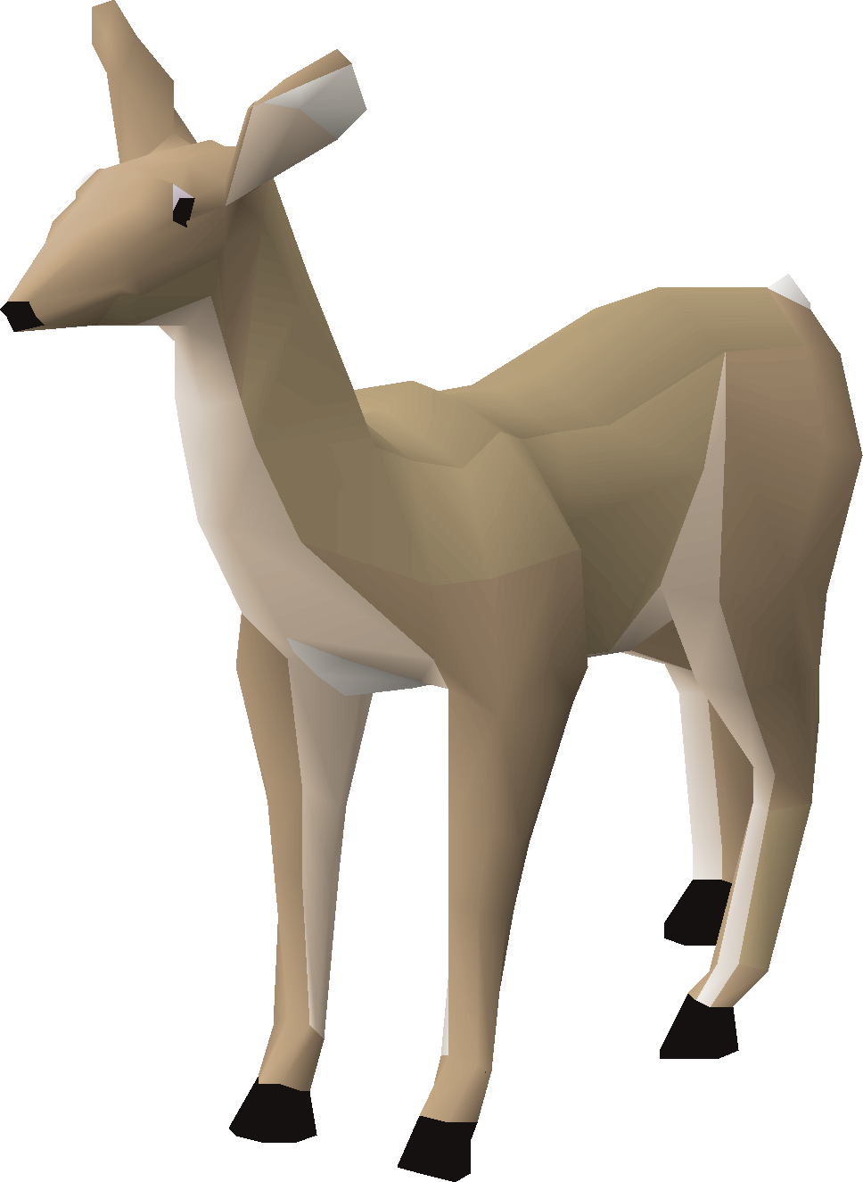 Doe