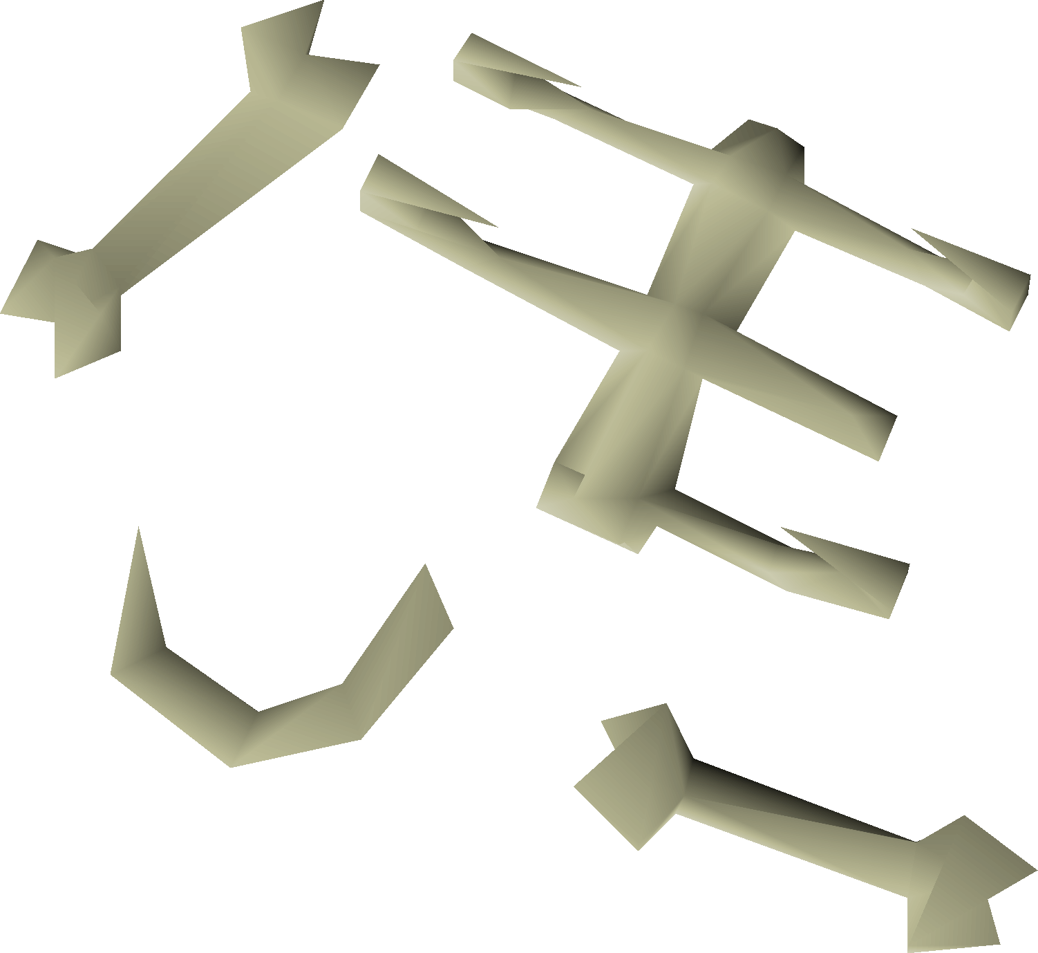 Animals' bones
