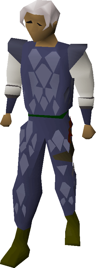 Blue dragonhide armour