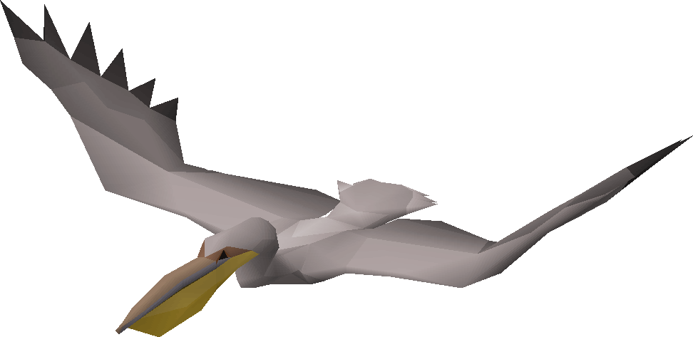 Pelican